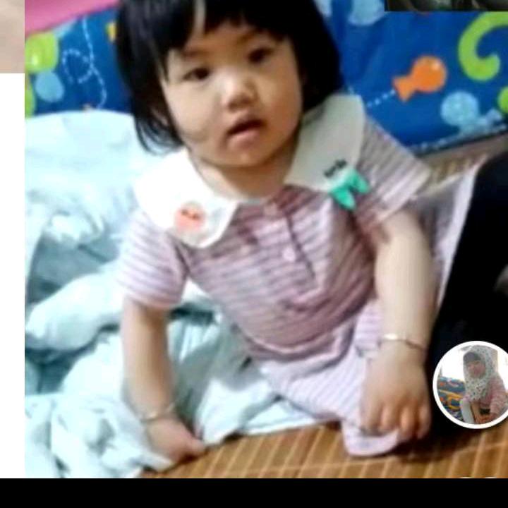 好日白