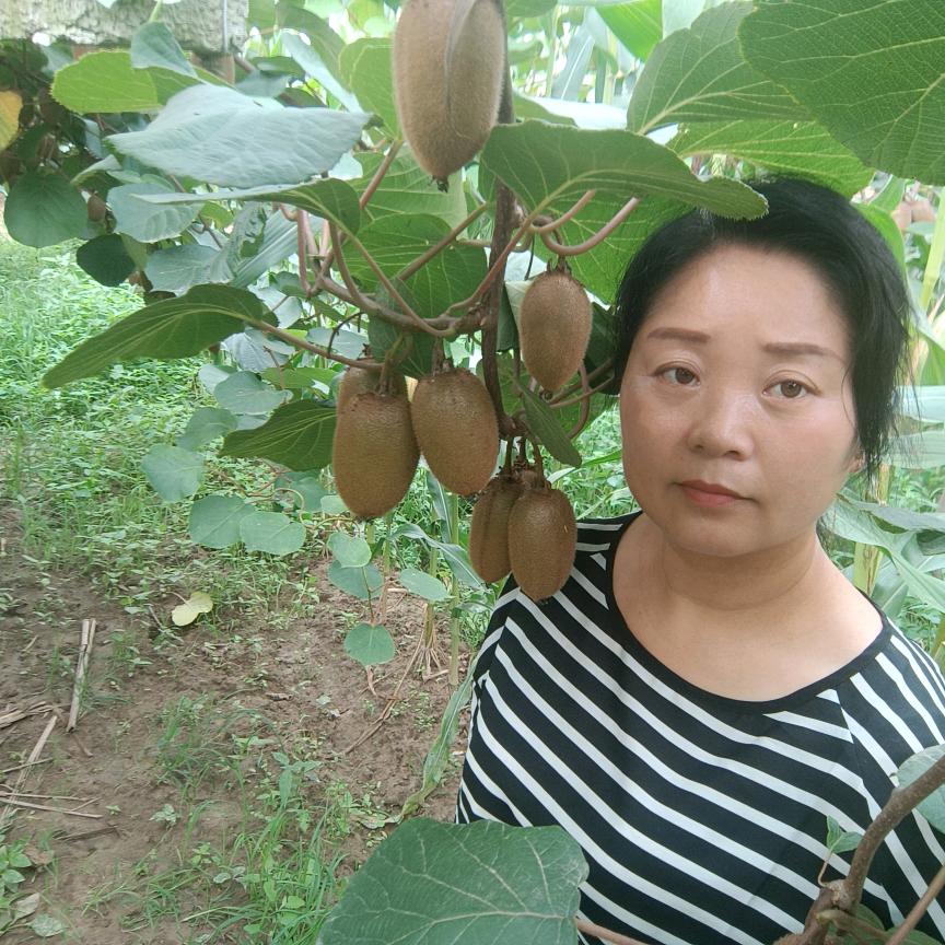 百鲜果原产地