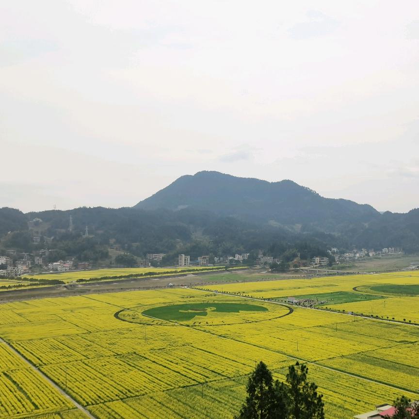 山里伢子