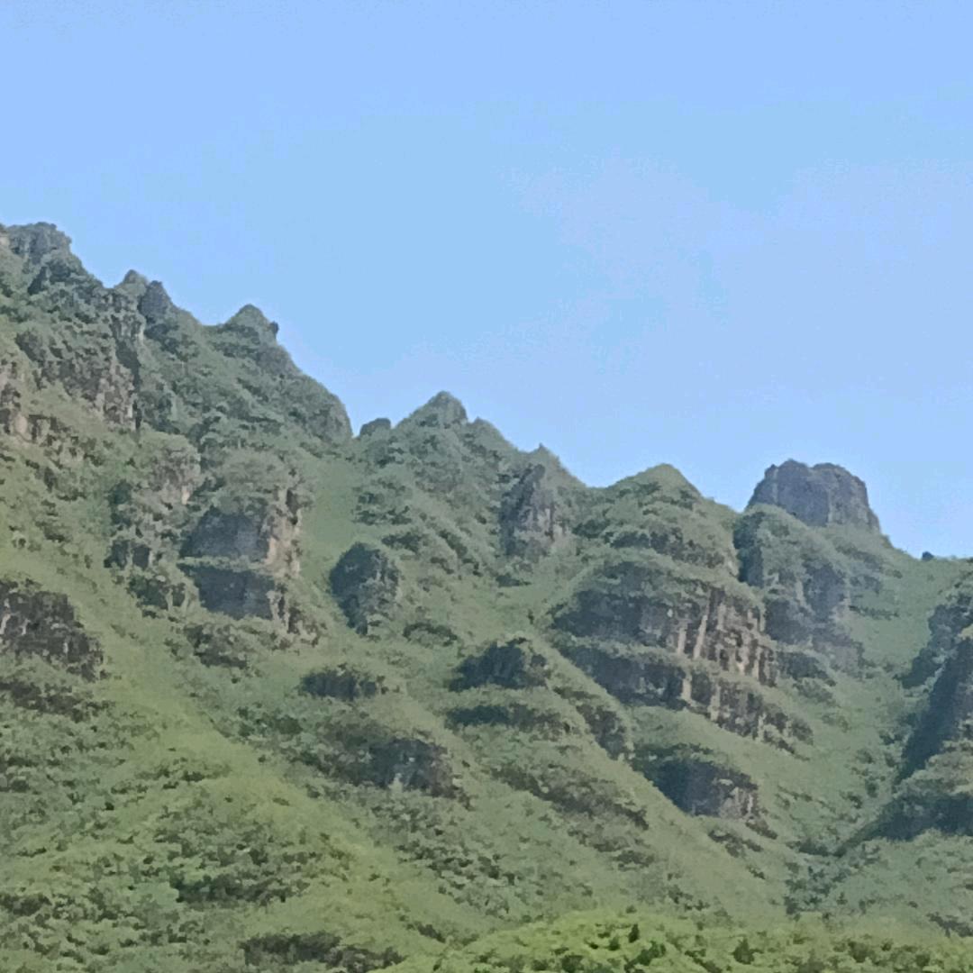 阿晨