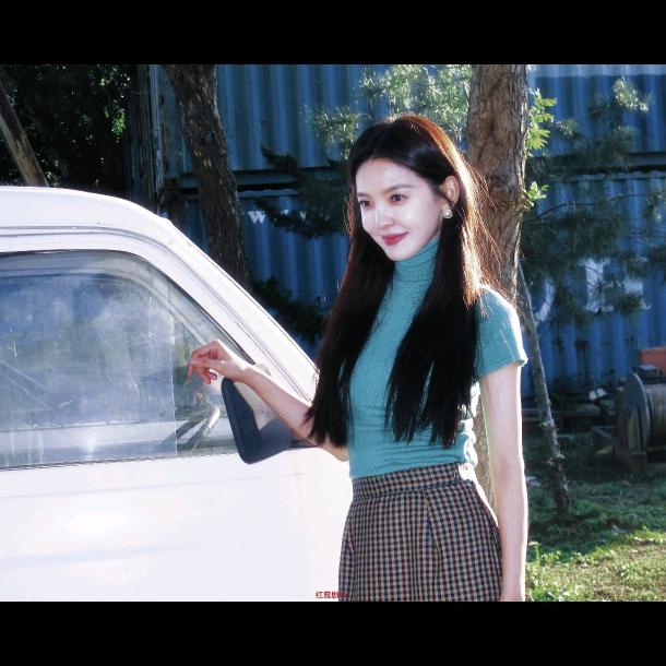杨杨🕊️