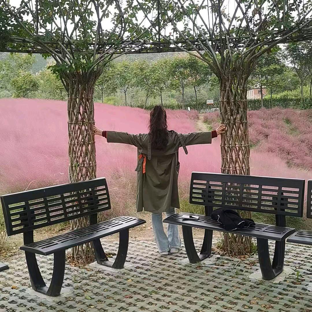 百毒不侵