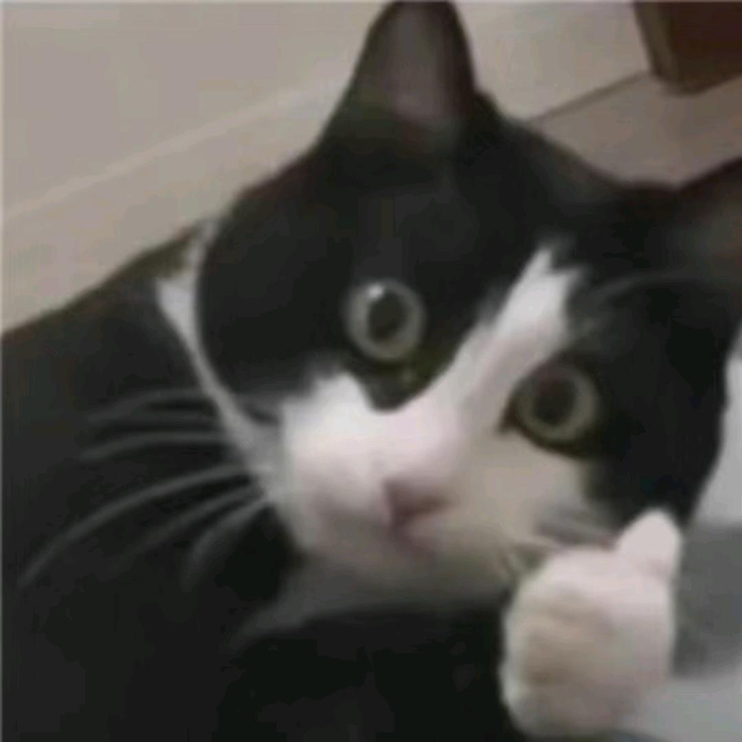 中中中中中中