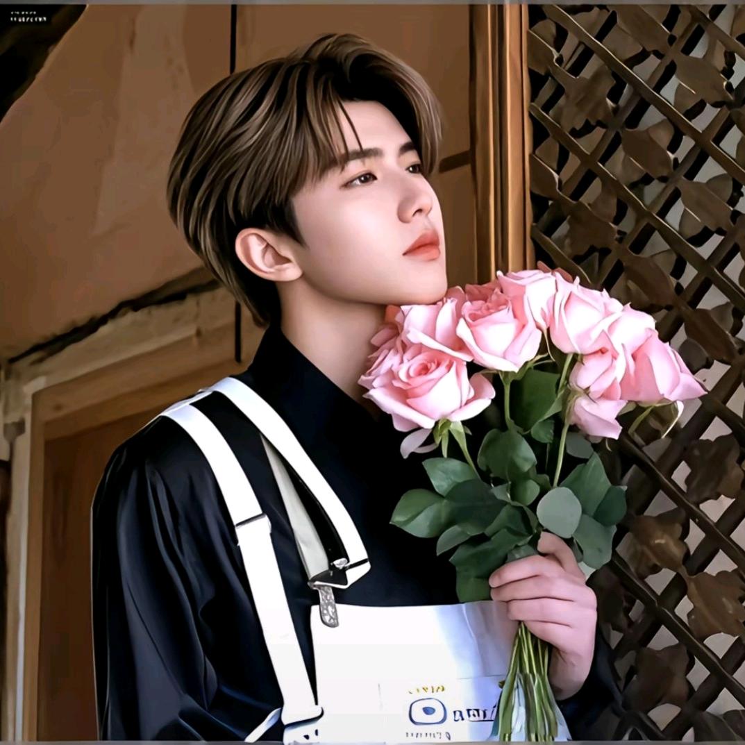 不打篮球(真爱粉版)