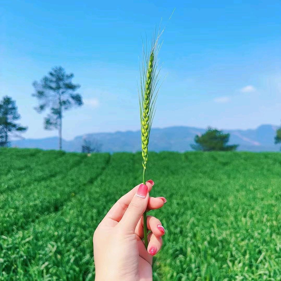 心悦