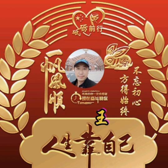 会飞的鱼