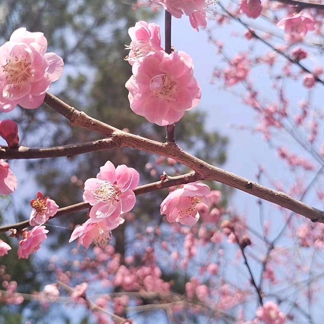 倾一世ご等一人