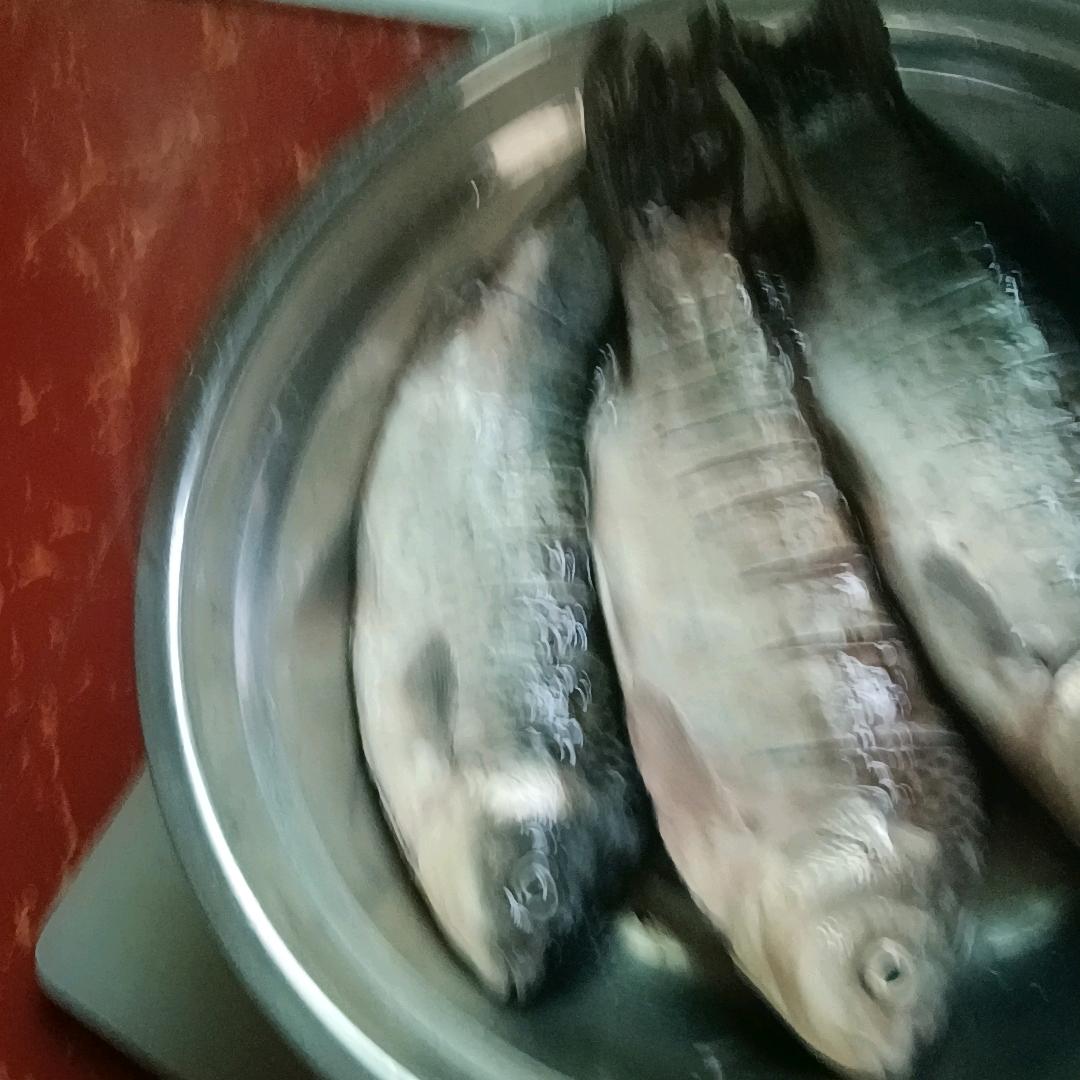 为你疯狂