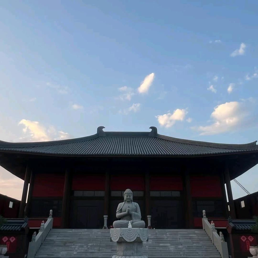 今善