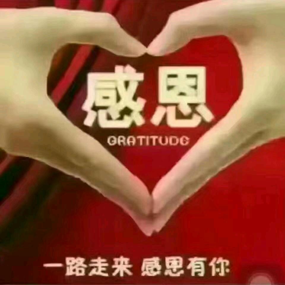 奋斗，啊牛