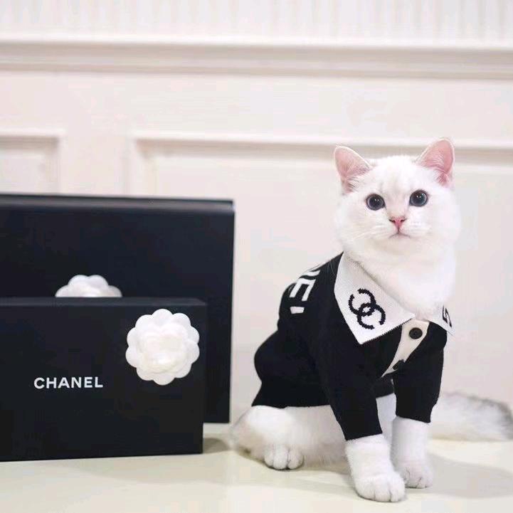 服装设计师兮兮