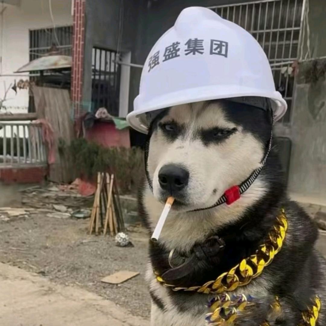 釉志