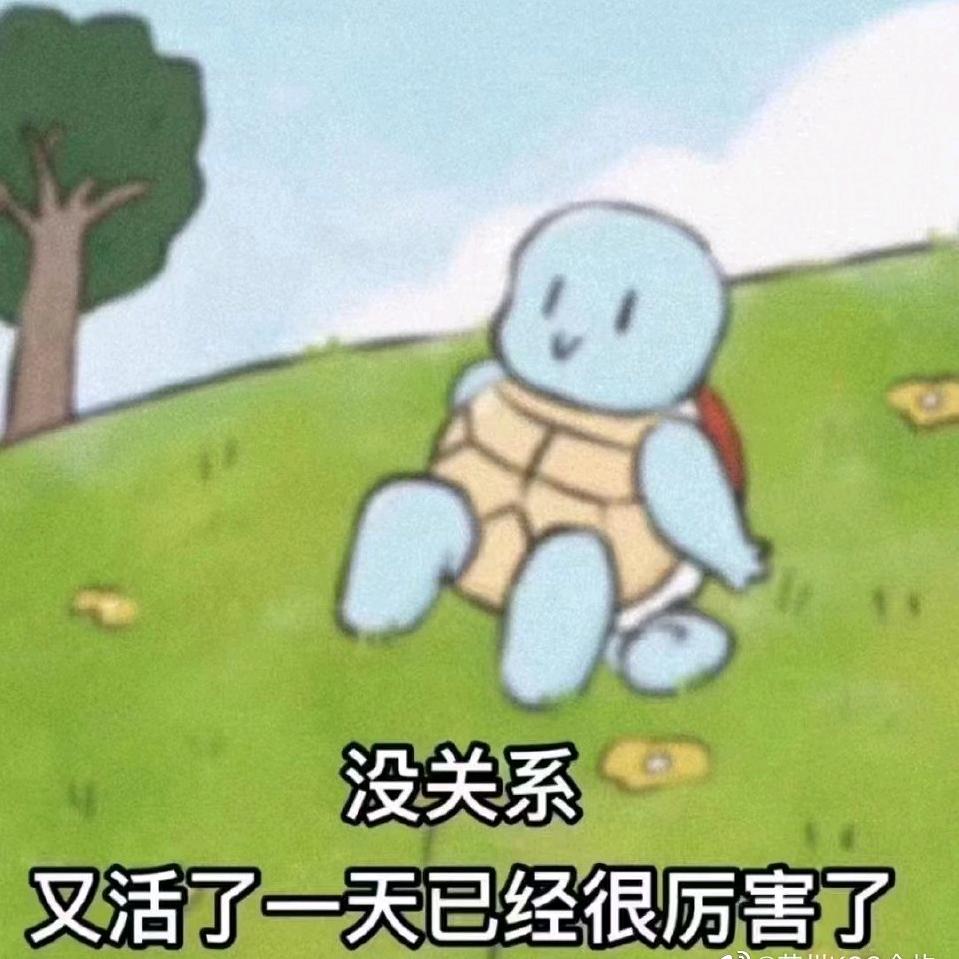一小坨木头
