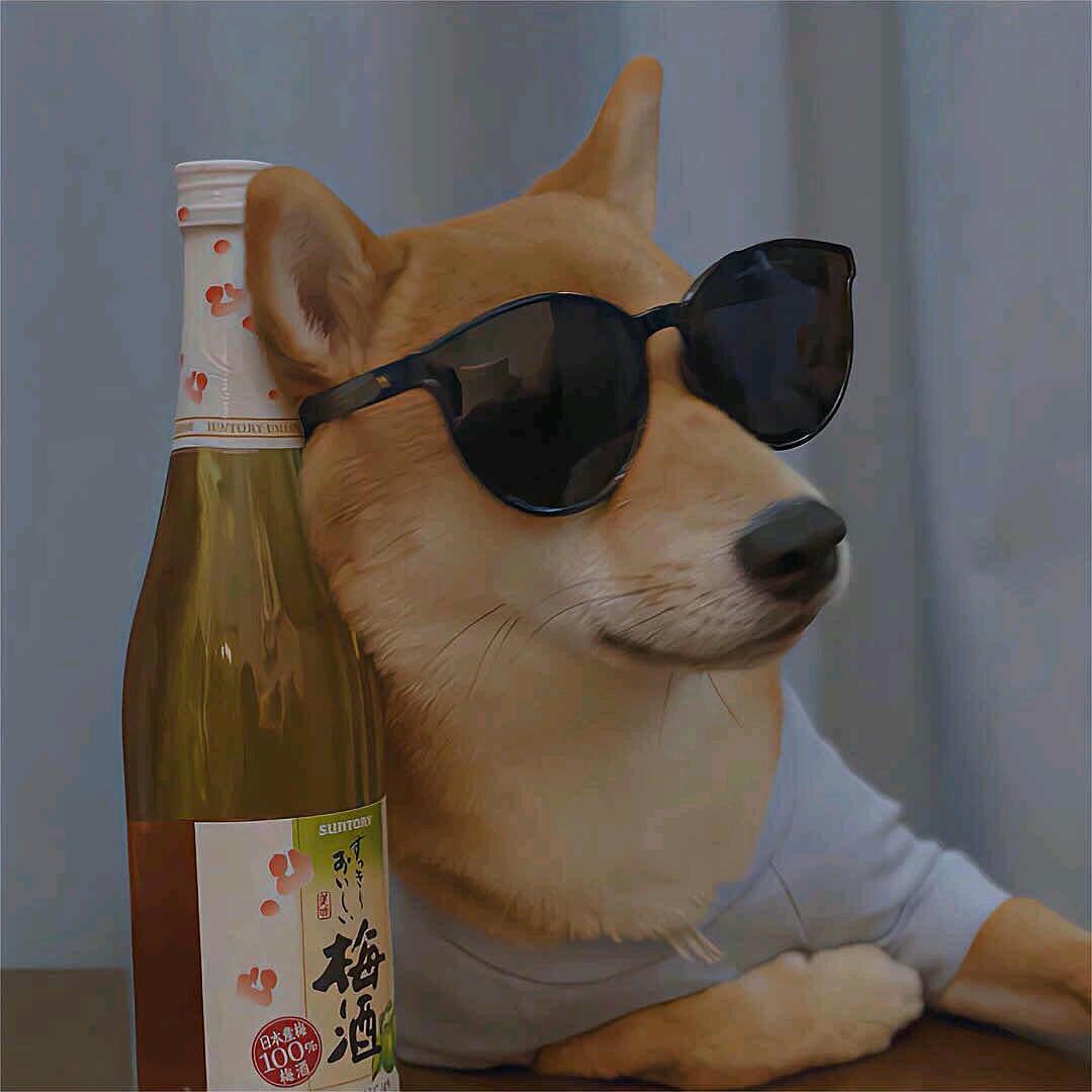 闲置