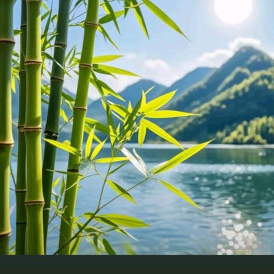 是小冉吖