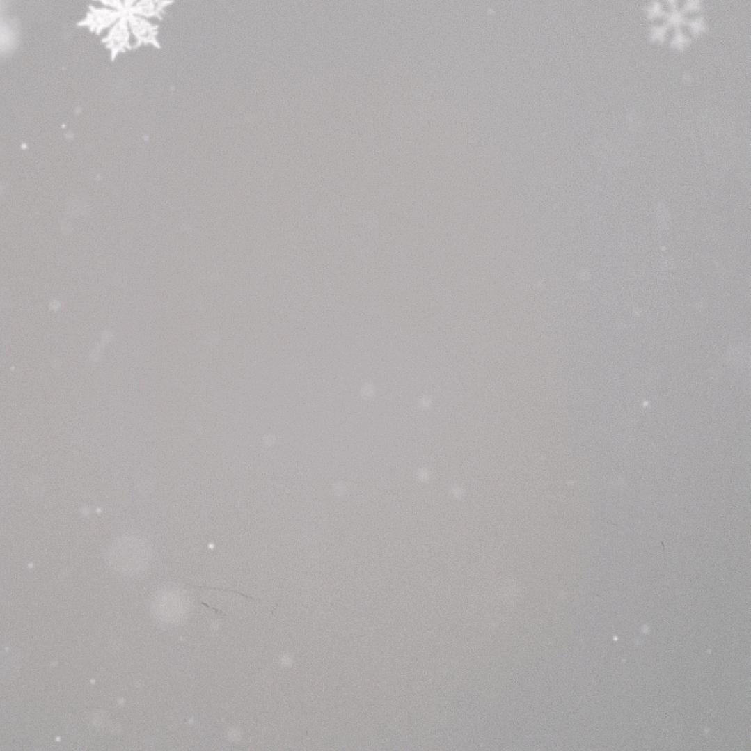 豆子