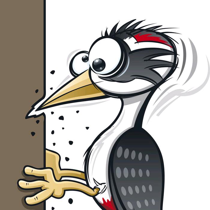 🫧贫僧法号啄木鸟