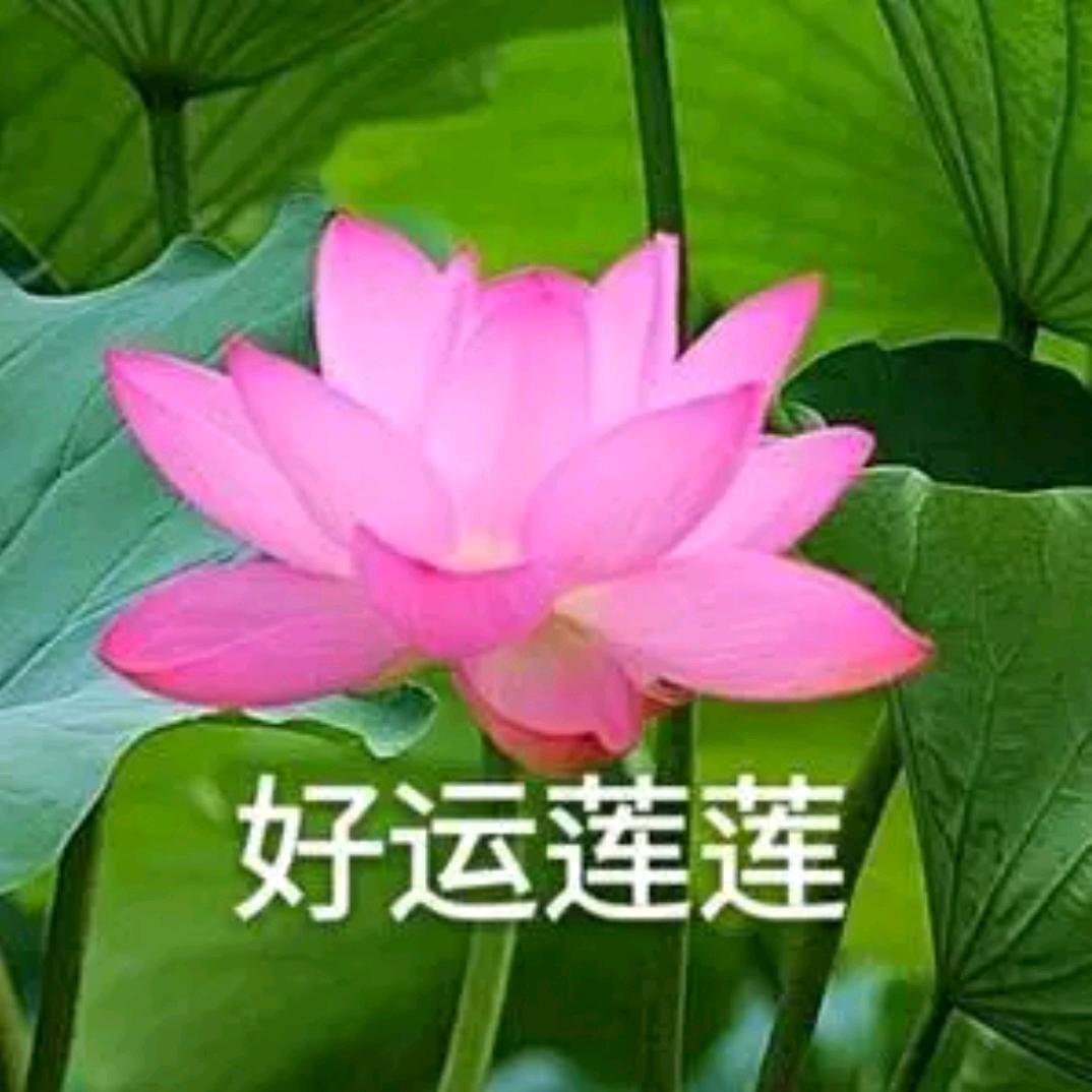 吴大姐