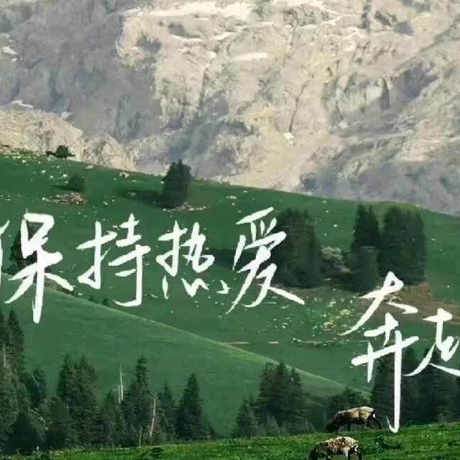 阿然（有关必回）