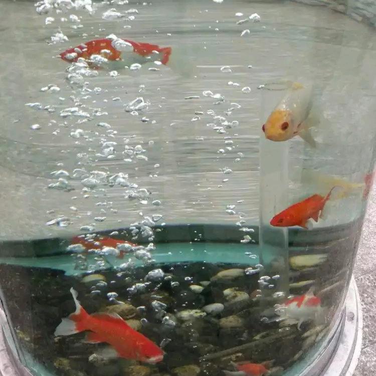 人生（得）靠自己