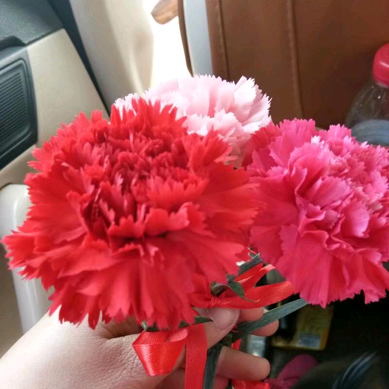 坚强要比矫情漂亮