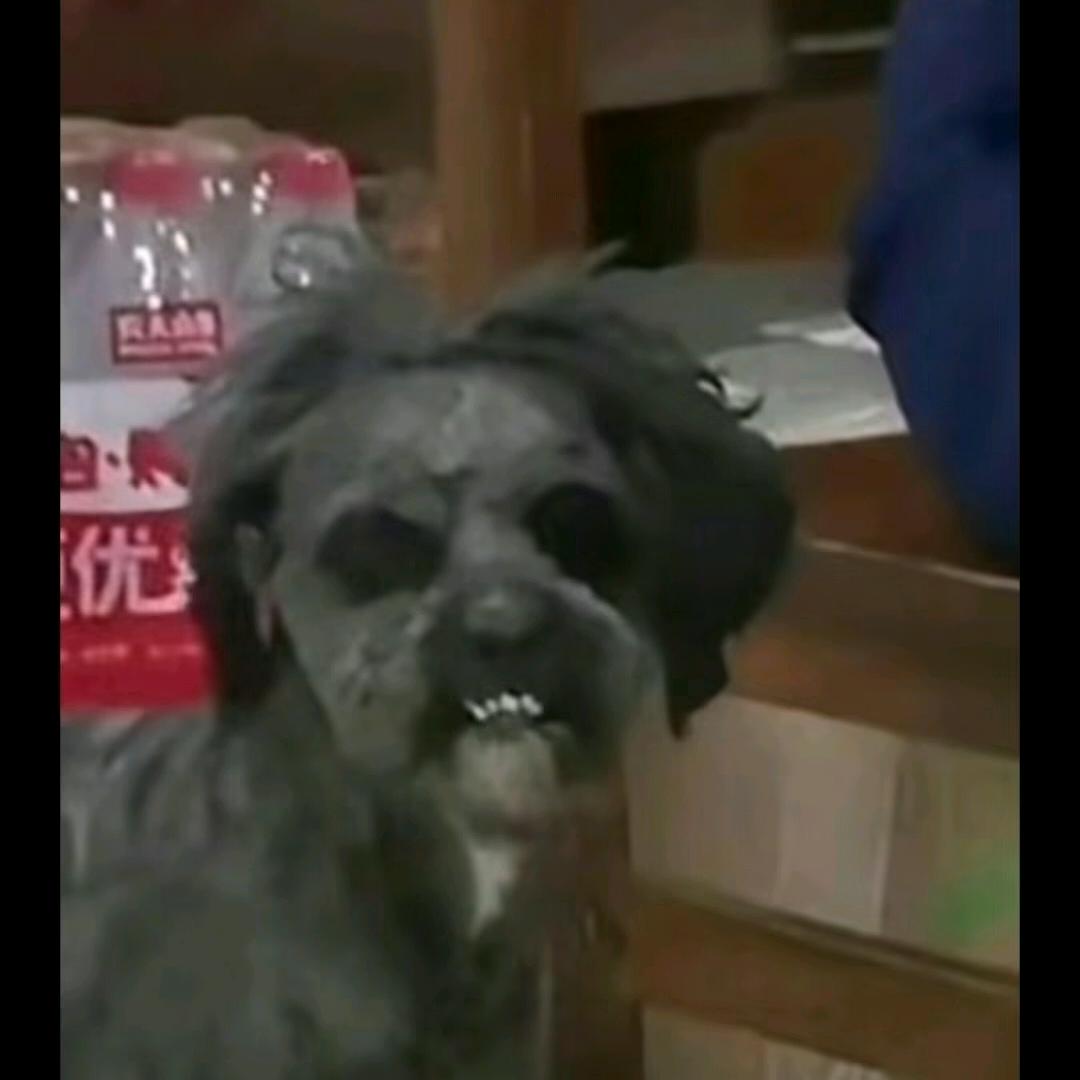 Minecraft_江湖(周内不更)