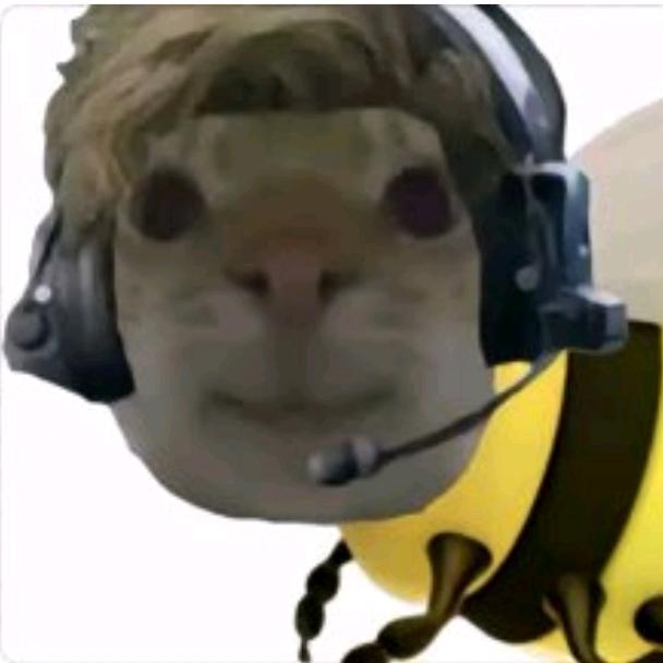 蜂医🐝