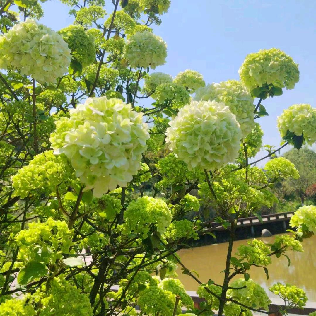 熊文隆