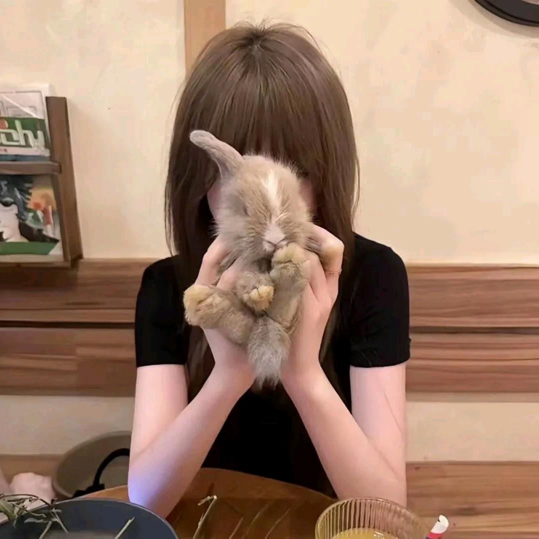 失眠小兔
