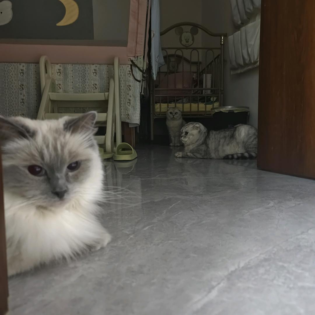 优阳爱追剧丶