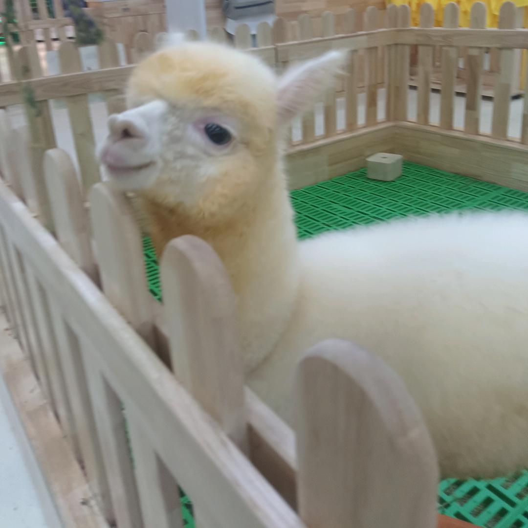 1109