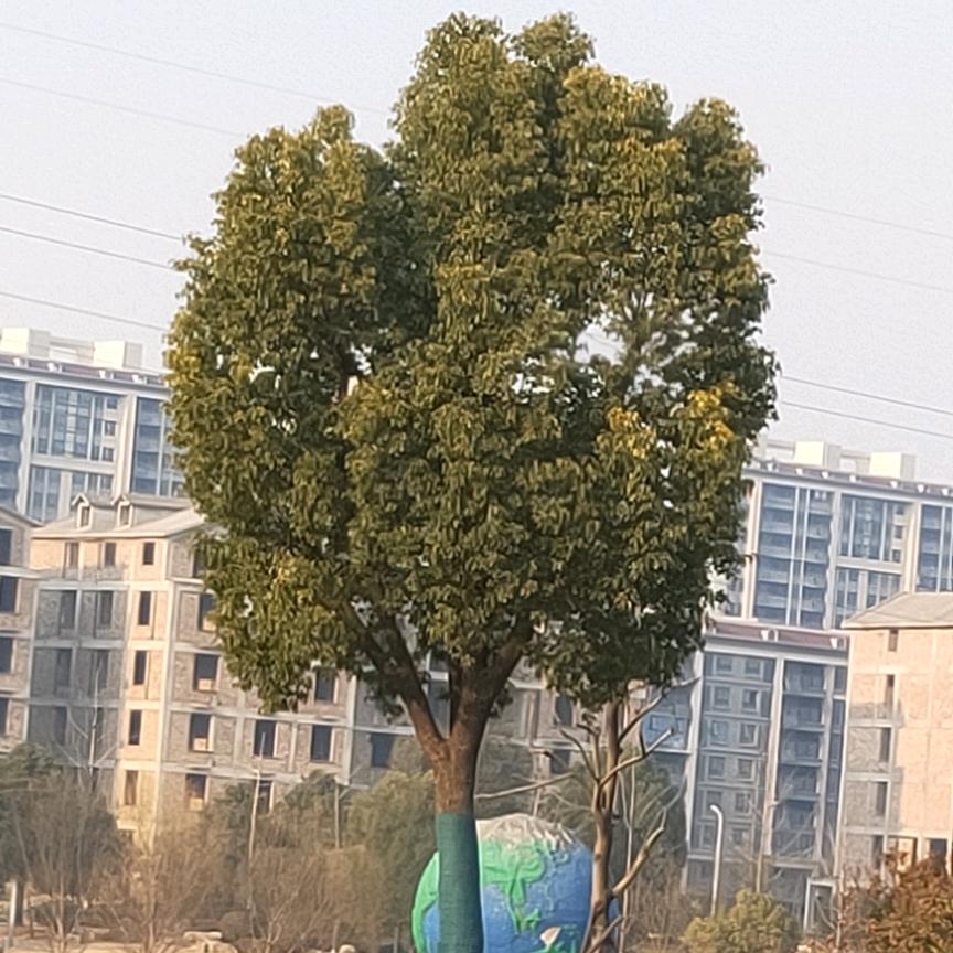 ((听姐讲实话丿)