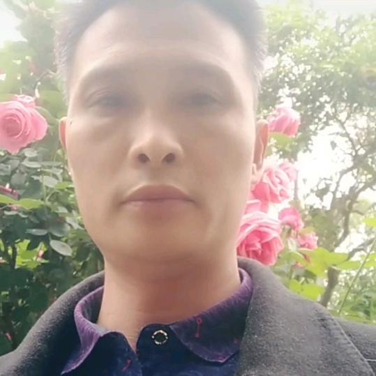 杨哥撒网新蔡