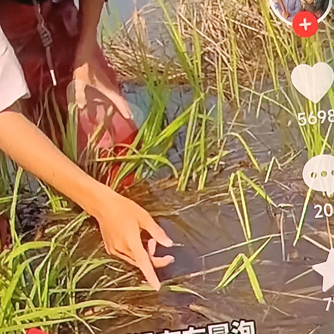 平平安安康🌹👌🏻