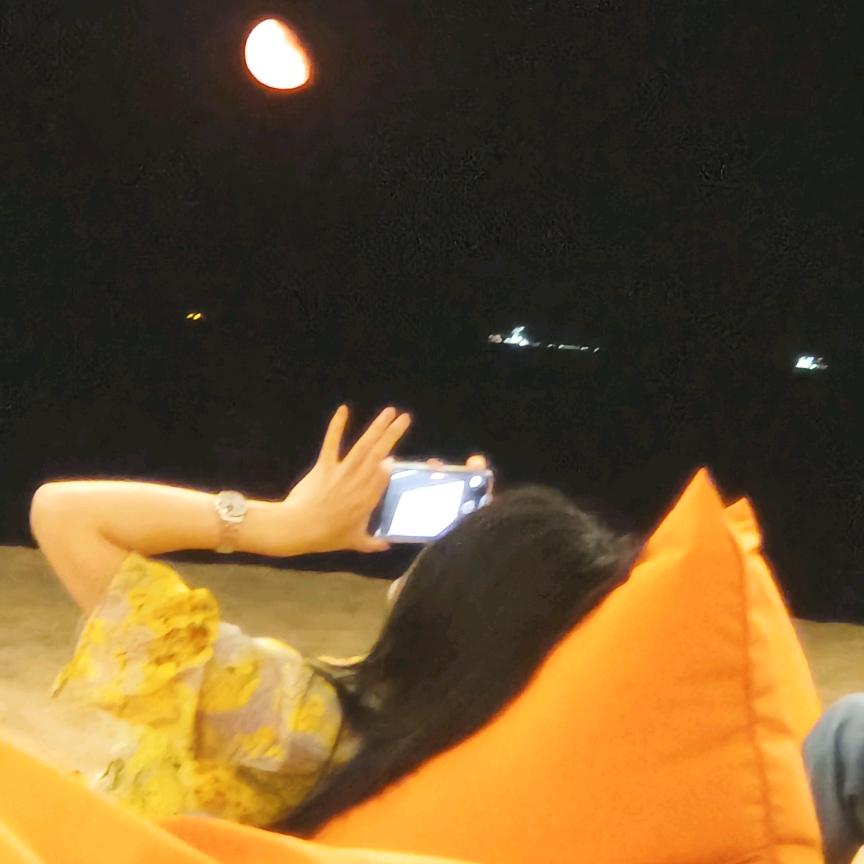 皆是孤独