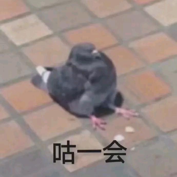 爱吃碳水