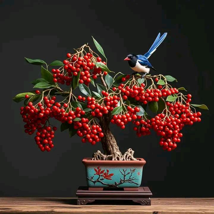 祝您们吉祥顺利