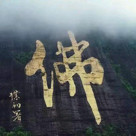 飞哥