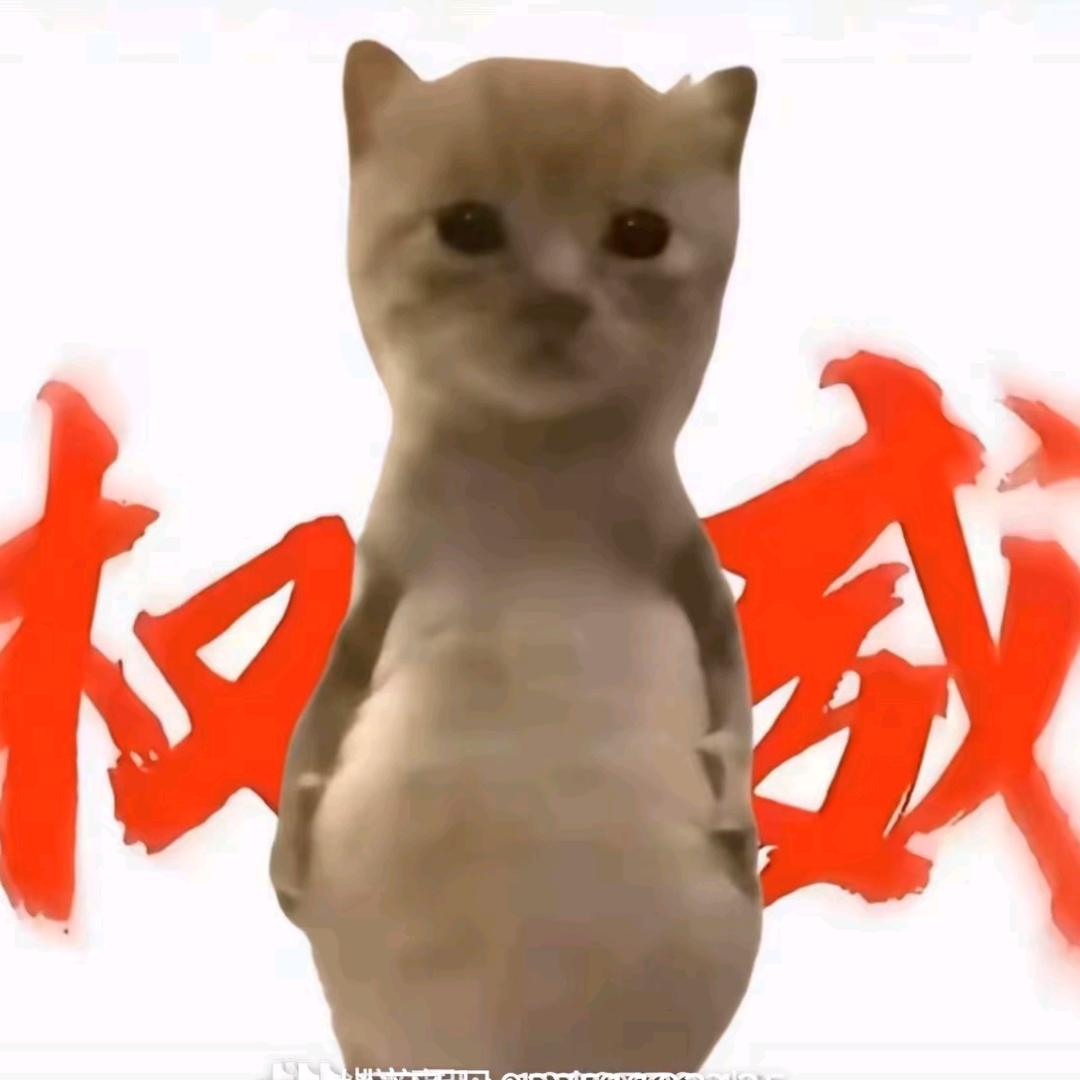 22岁大爷含泪痛失低保
