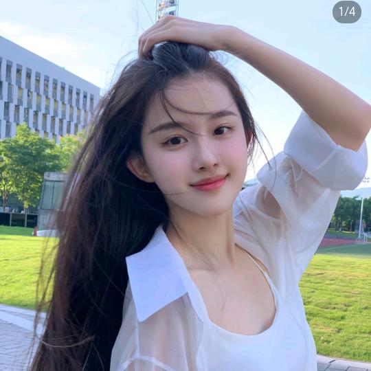 央央美