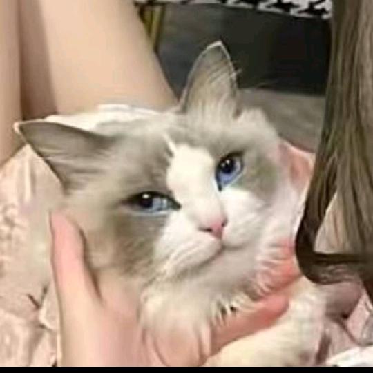 开开心心活到老