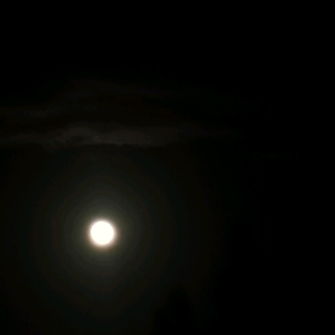 1579325552123655