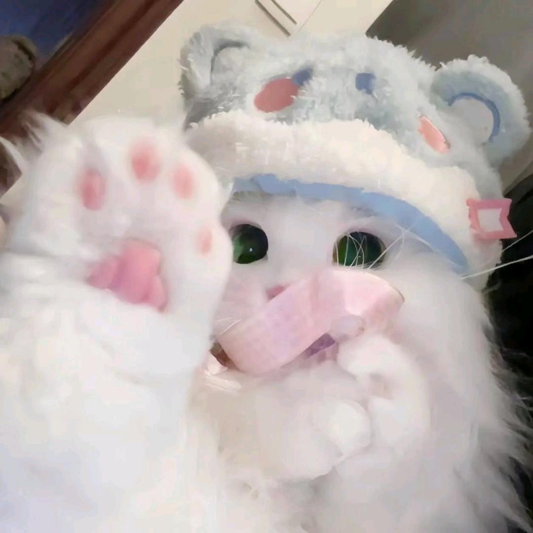 小蛋糕