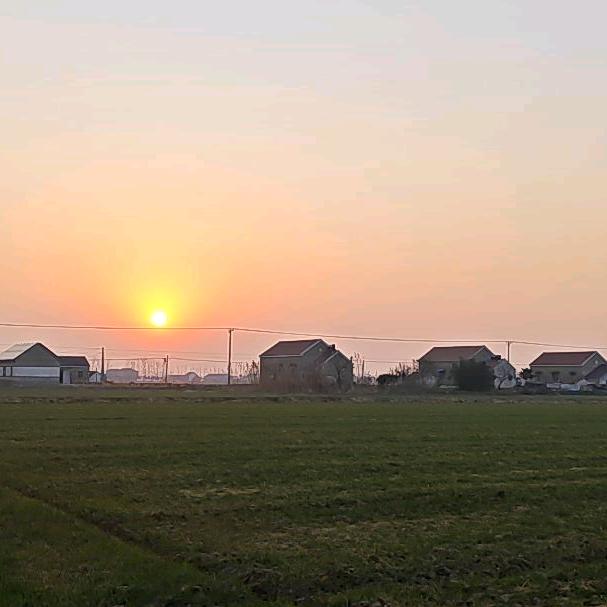 @wbg春天的阳光✨