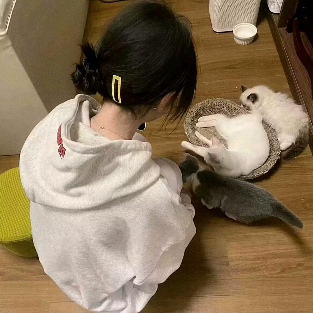 别烦我