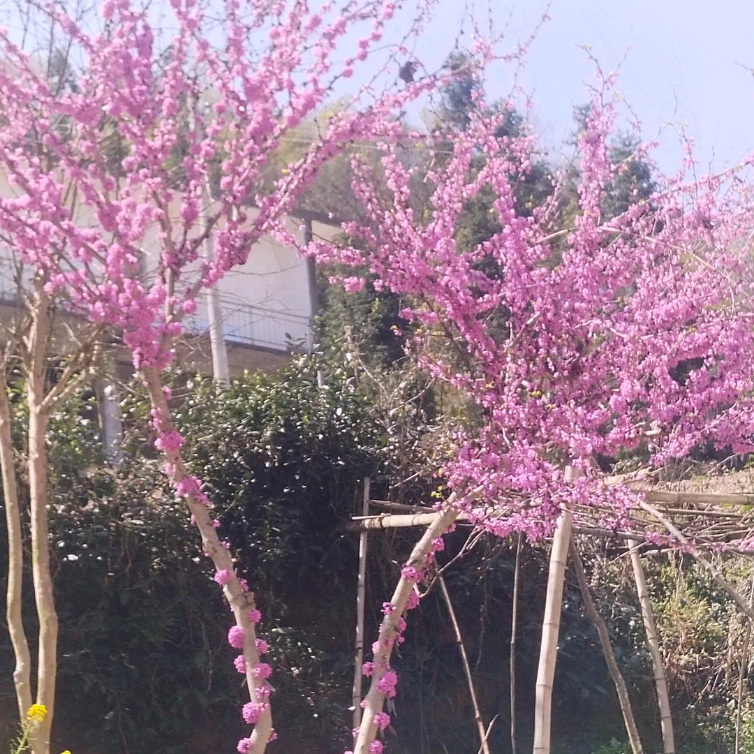 开开心心过一生