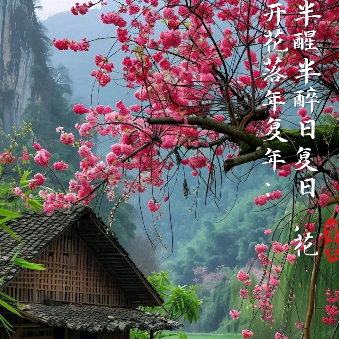桃花坞