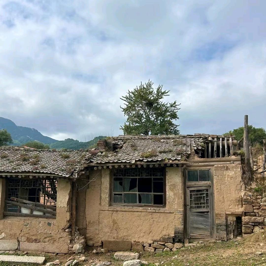 娜农村李老头直播号