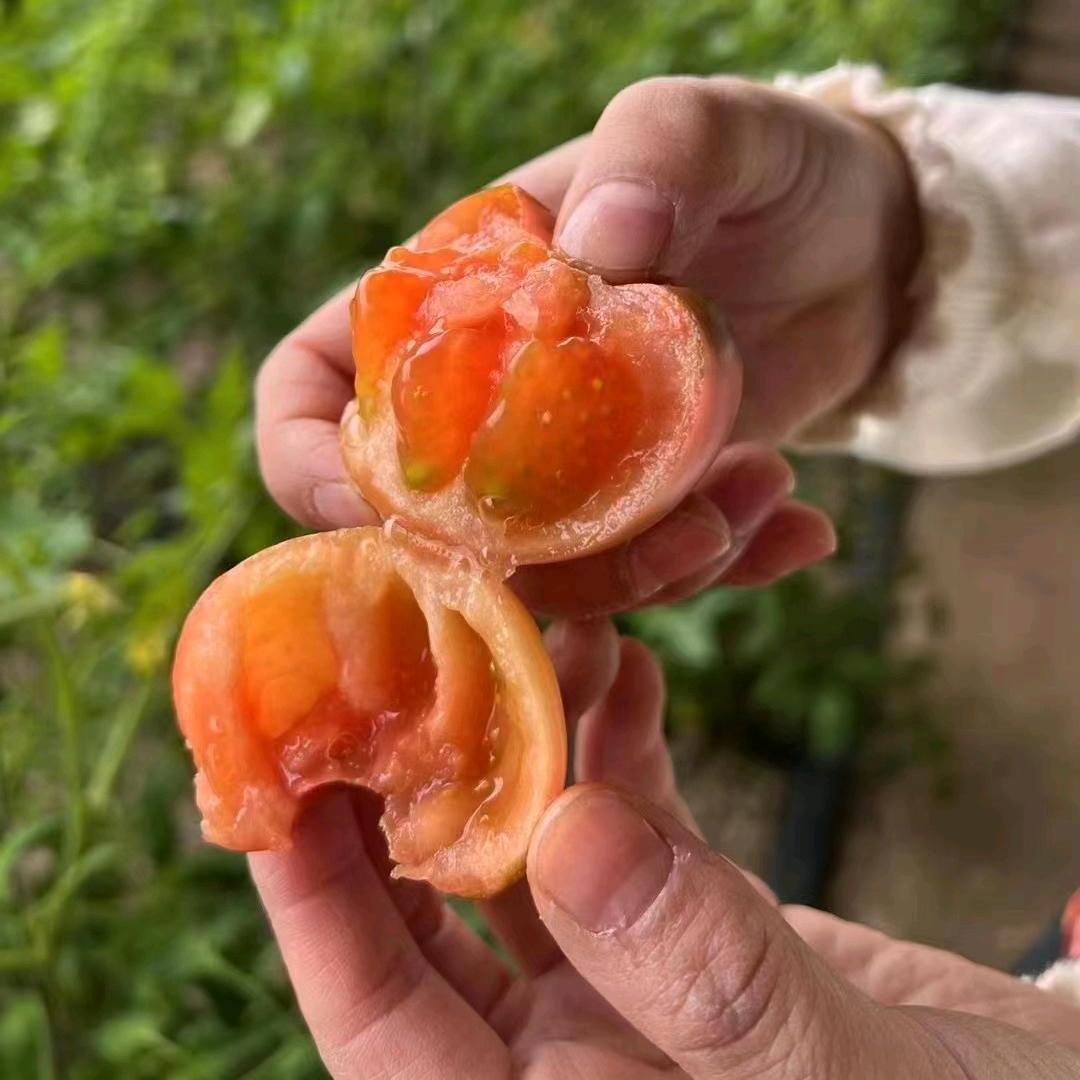 鞍山小胖农产品