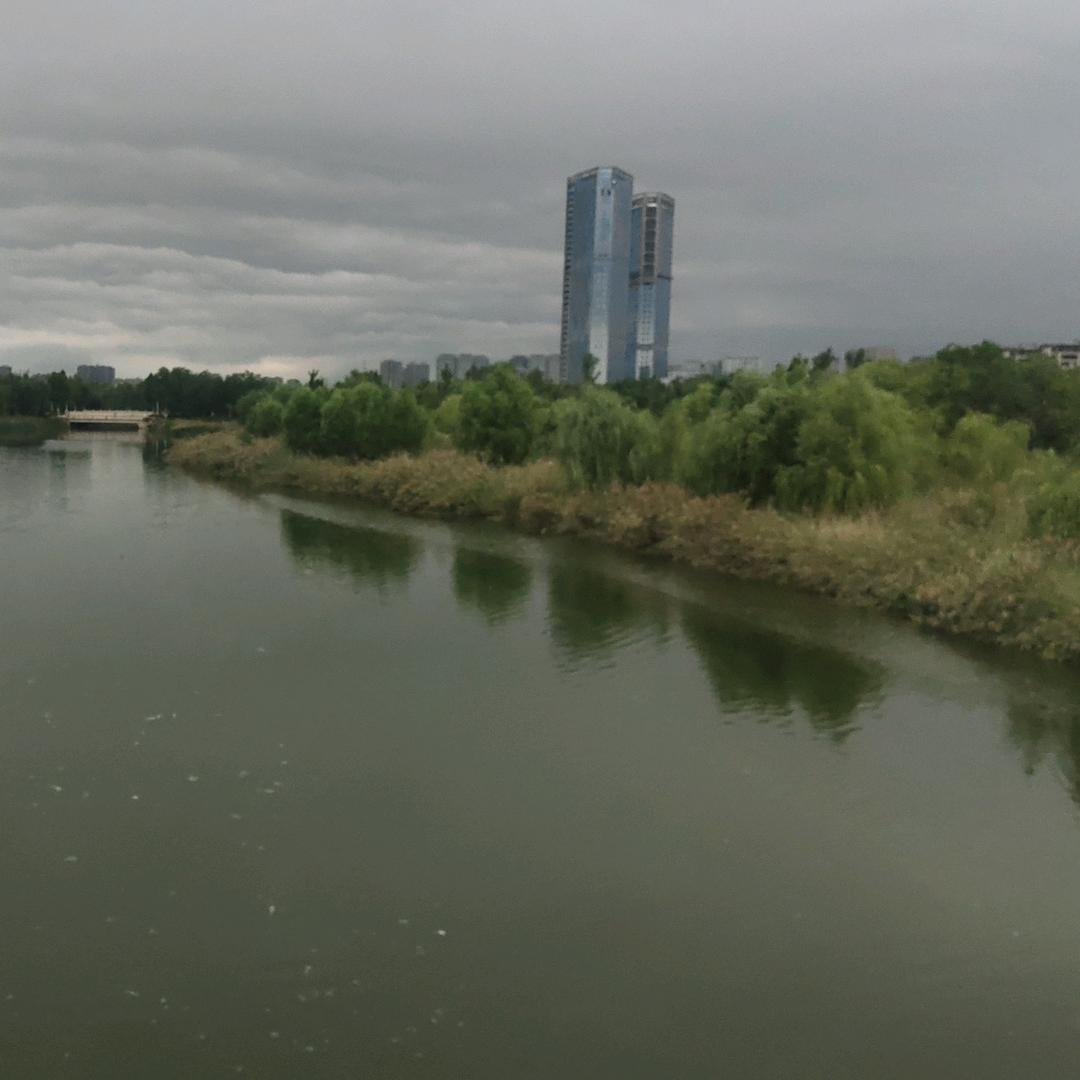 🌈秋阳爱燕🌹🌹🌹